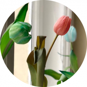 Bildergalerie2 Bildergalerie2